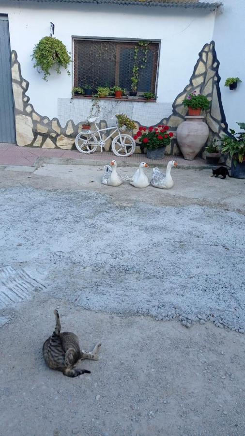 Cueva De La Abuela Villa Los Carriones Екстериор снимка