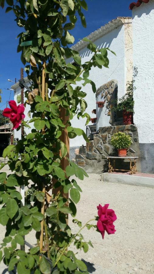 Cueva De La Abuela Villa Los Carriones Екстериор снимка